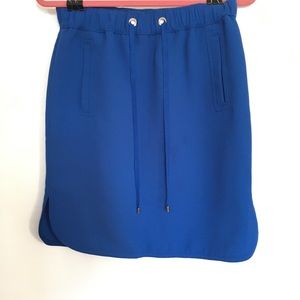 Blue Ann Taylor Drawstring Skirt